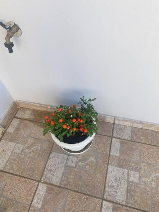 New Lovely Apartment In Heraklion Экстерьер фото