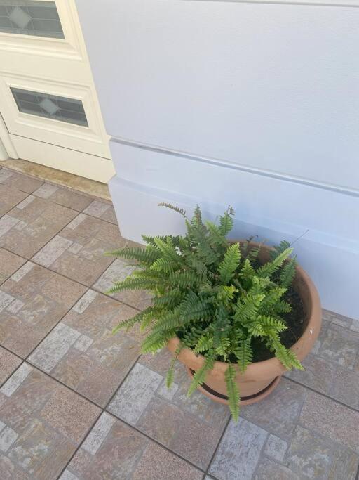 New Lovely Apartment In Heraklion Экстерьер фото